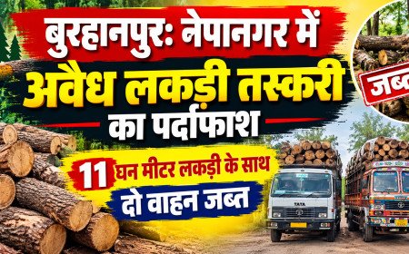 बुरहानपुर: नेपानगर में अवैध लकड़ी तस्करी का पर्दाफाश, 11 घन मीटर लकड़ी के साथ दो वाहन जब्त